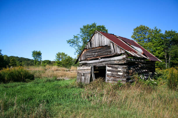 Dilapidated old shack in a small field in Ontario Canada.