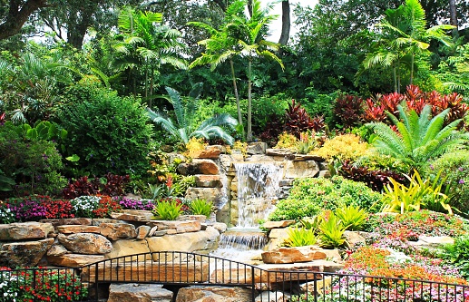 A tropical garden with flowers, ferns, trees and a waterfall.