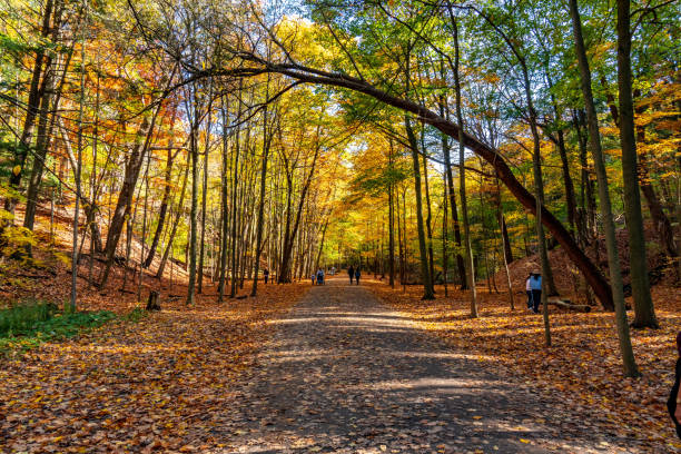 istock Fall colours nearby Don Valley Brick Works Park, Toronto 1438521490