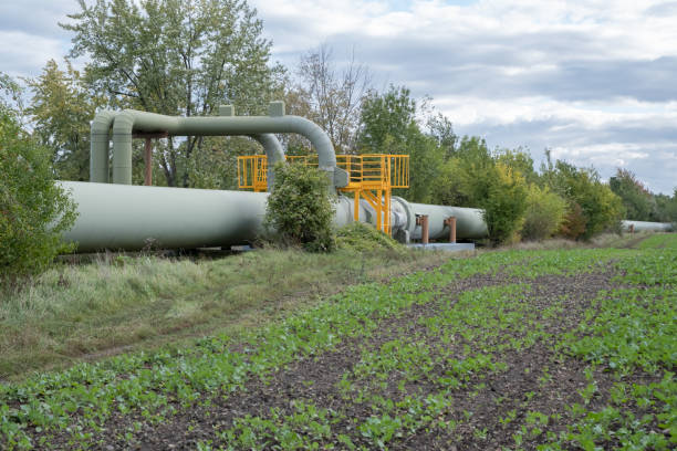 thermique de la centrale électrique aux pipelines longue distance stream en europe. plaque tournante de distribution du transport du pétrole et du gaz par pipelines. - renewable energy power line electricity fuel and power generation photos et images de collection