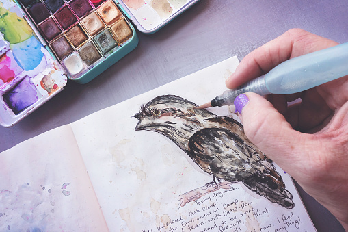 Hand with paintbrush water brush pen and watercolor palette painting Tawny Frogmouth bird in an art journal sketch book