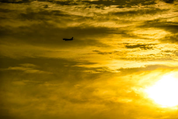 istock Airplane and sky at dusk 1438535608