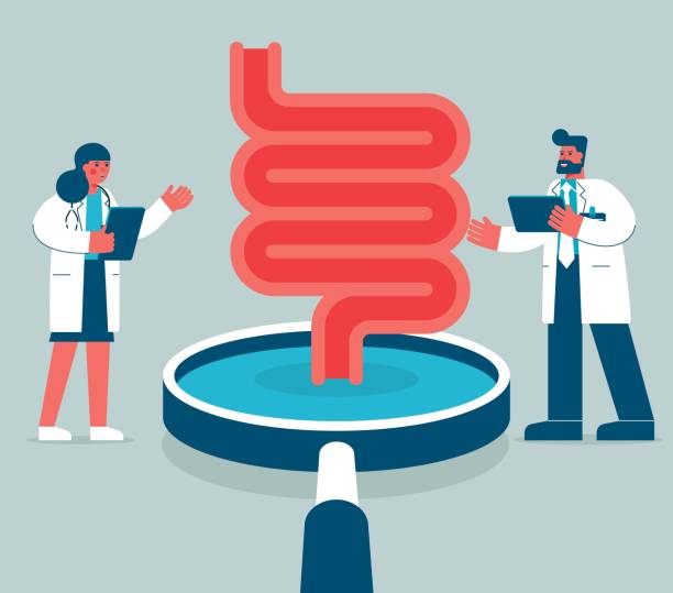 Magnifying Glass - digestive system Team of doctors diagnose human digestive system colonoscopy stock illustrations