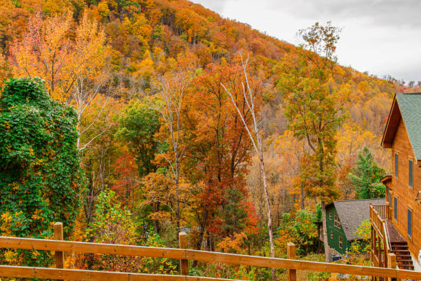 arbres d’automne colorés et vues sur les montagnes dans le tennessee à l’automne 2022 - great smoky mountains flash photos et images de collection