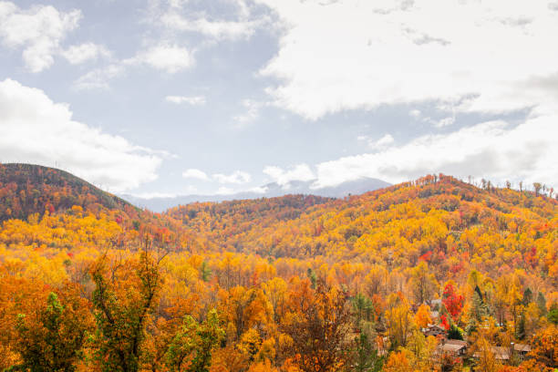 istock Colorful Autumn Trees & Mountain Views in Tennessee During the Fall of 2022 1438540407