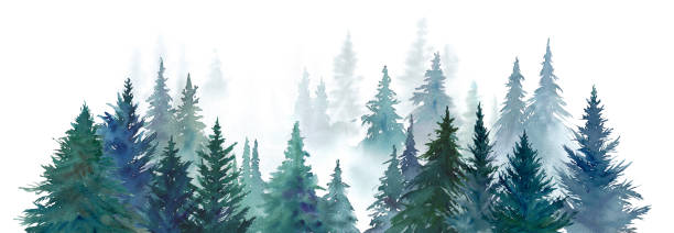 акварельная иллюстрация хвойного леса. лесной ландшафт. панорама. - illustration and painting panoramic sky snow stock illustrations