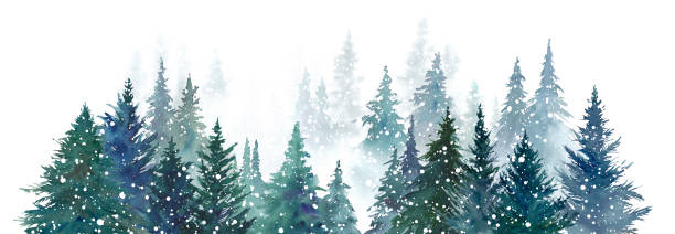 illustrazioni stock, clip art, cartoni animati e icone di tendenza di illustrazione ad acquerello della foresta di conifere innevata. paesaggio forestale. panorama. - panoramic landscape illustration and painting tree