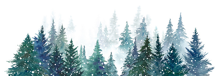 Watercolor illustration of snowy coniferous forest. forest landscape. panorama.