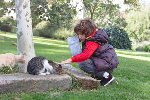 istock Little boy in a plaid shirt feeds homeless cat 1438549749