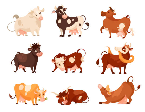 ilustraciones, imágenes clip art, dibujos animados e iconos de stock de conjunto de ilustraciones vectoriales de vacas cómicas de diferentes razas - dibujo-de-vaca