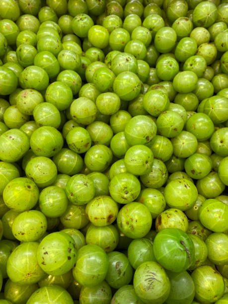 Full frame image of pile of Indian gooseberries (Phyllanthus emblica) in crate on supermarket shelves, elevated view stock photo