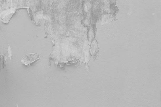 istock Old Peeling Paint Wall,Gray color 1438552579