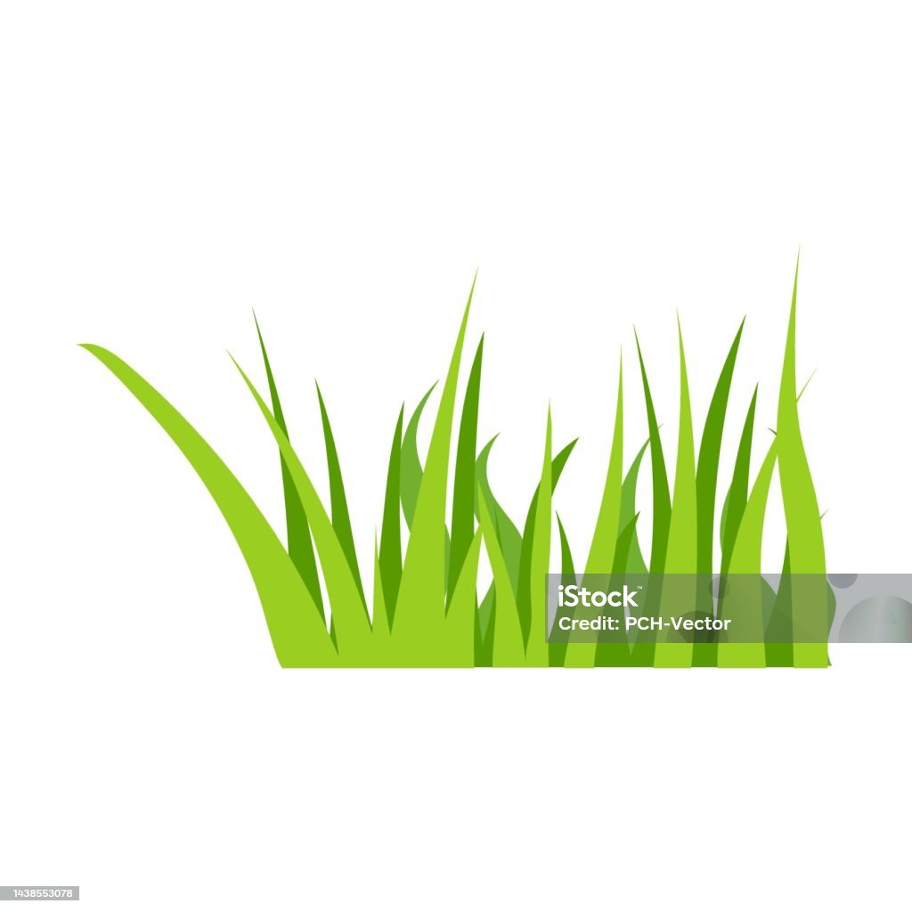 Mô Hình Chùm Cỏ Xanh Vector Minh Họa Thực Vật Hoa Viền Cô Lập Trên ...