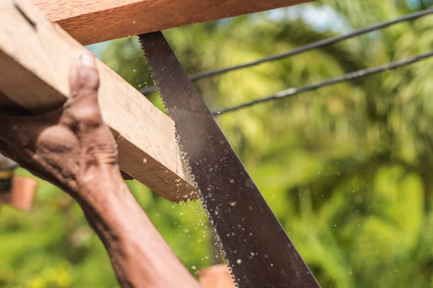 a carpenter saws off the excess edge of a wood rafter. building or reconstructing a wooden roof frame for a rural home. - reconstructing imagens e fotografias de stock