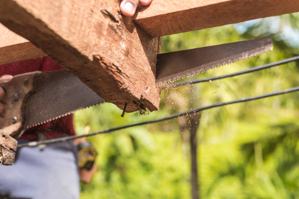 a carpenter saws off the excess edge of a wood rafter. building or reconstructing a wooden roof frame for a rural home. - reconstructing imagens e fotografias de stock