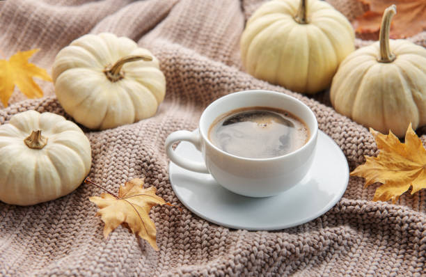 istock White pumpkins, coffee and autumn leaves 1438555335