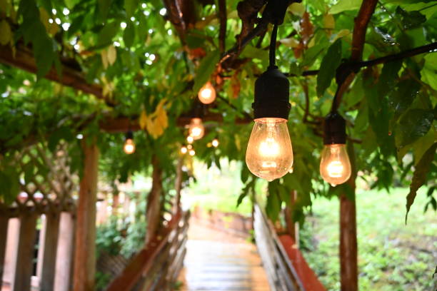 edison lights in the autumn rain