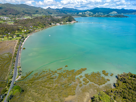 Panoramic view of New Zealand landscape with Pohutukawa tree on Bay of Islands. Pohutukawa Tree is an iconic Kiwi Christmas tree, which often features on greeting cards and in poems and songs, has become an important symbol for New Zealanders at home and abroad.