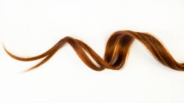 A strand of red hair. Healthy wavy female hair on a white background. Hair care concept. Curl. A strand of red hair. Healthy wavy female hair on a white background. Hair care concept. Curl. hair strands stock pictures, royalty-free photos & images