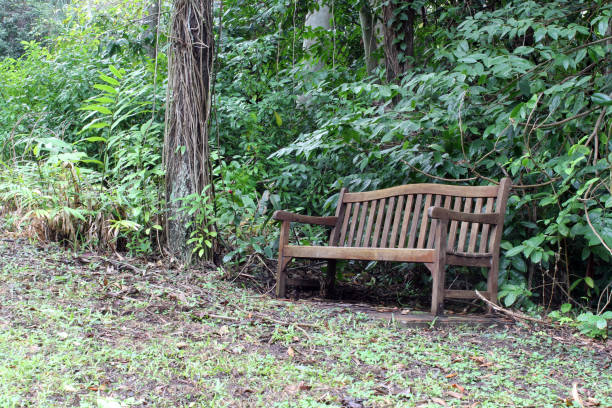 istock Seat in a park with trees, plants and grass 1438559313