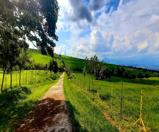 istock Panoramic view of Padang Mangateh Payakumbuh 1438565265