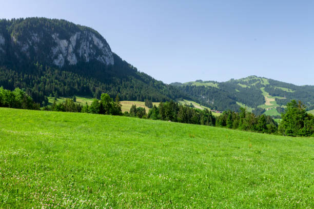 istock Panoramic view of green alpine meadows and mountains 1438568392