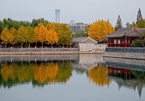 Beautiful scenery of Forbidden city moat during autumn.
