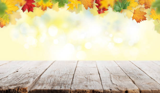 istock Empty wooden table with sunny autumn backdrop 1438569950