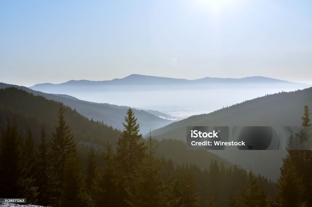 Góc Nhìn Cao Của Phong Cảnh Tuyệt Đẹp Của Một Khu Rừng Trong Những Ngọn Núi Mờ  Hình ảnh Sẵn có - Tải xuống Hình ảnh Ngay bây giờ - iStock