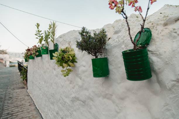 istock White wall with hanging paint cans reused as plant pots 1438571493