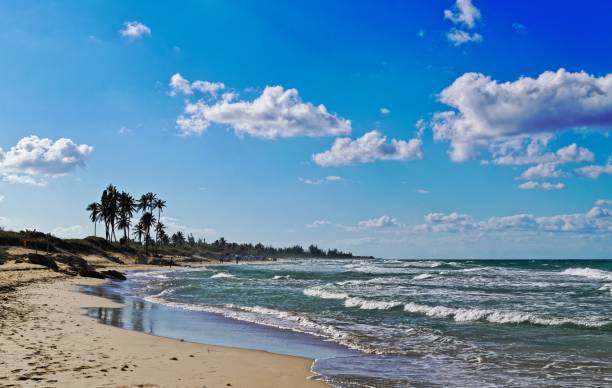 istock Beautiful sandy beach with palm trees and rocks on a sunny day 1438572710