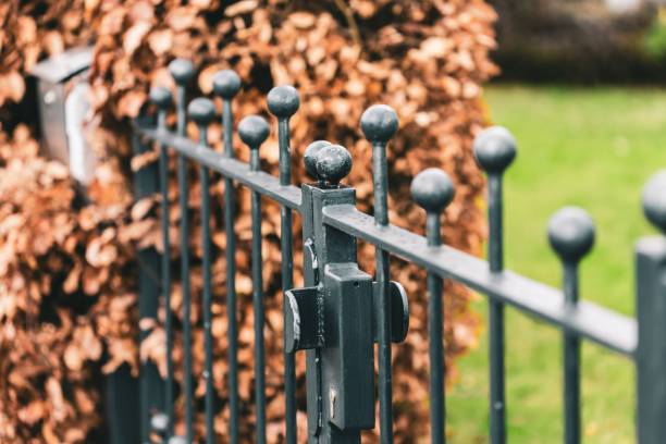 istock Fences surrounded by greenery in a garden under the sunlight with a blurry background 1438572753
