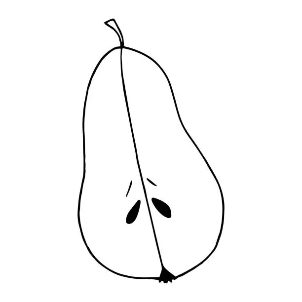 Vector illustration of pear half hand drawn in doodle style. fruit, food.