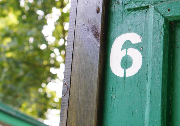 White number 6 on green painted wood.