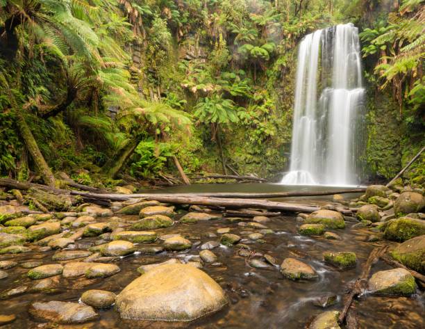 istock Waterfall surrounded by greenery and rocks under the sunlight in a forest 1438575463