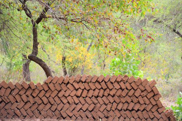istock Orange brick wall in front of a garden on a sunny day 1438576111