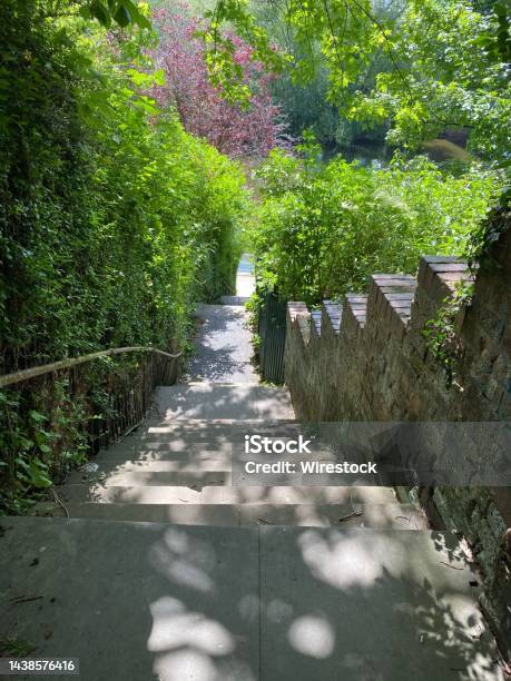 Vertical Shot Of Stairs Through Bushes In Portmeirion Tourist Village In Gwynedd North Wales Uk Stock Photo - Download Image Now