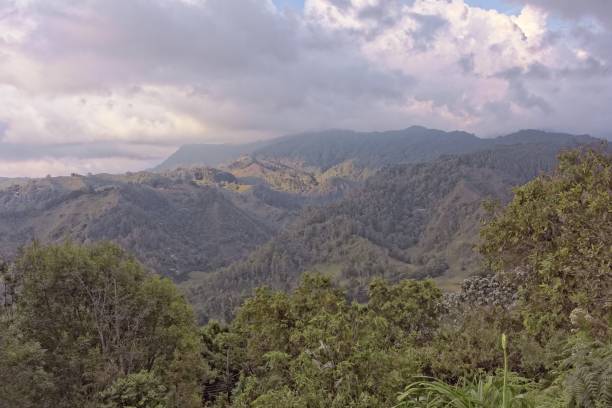 istock Wide angle shot of trees and forests on a mountain during daytime 1438576635