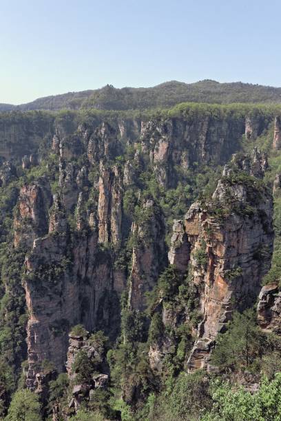 istock Cliff next to the mountain covered with trees and vegetation 1438576642