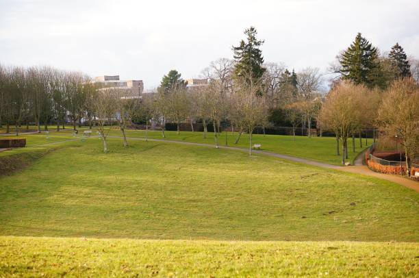istock Wide angle shot of a green field surrounded by trees 1438577688