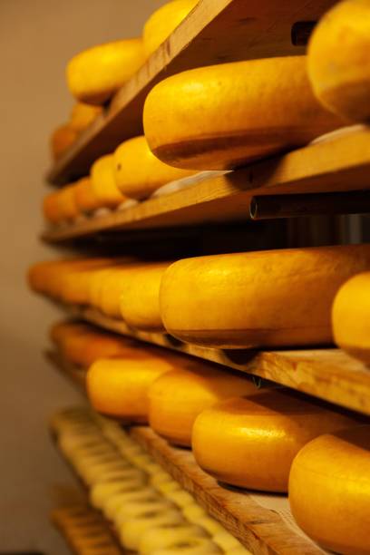 istock Vertical closeup of Dutch cheese maturing on shelves in storage 1438577777