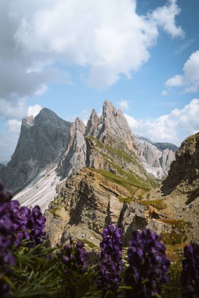 istock Mount Seceda at the pomeri 1438578136