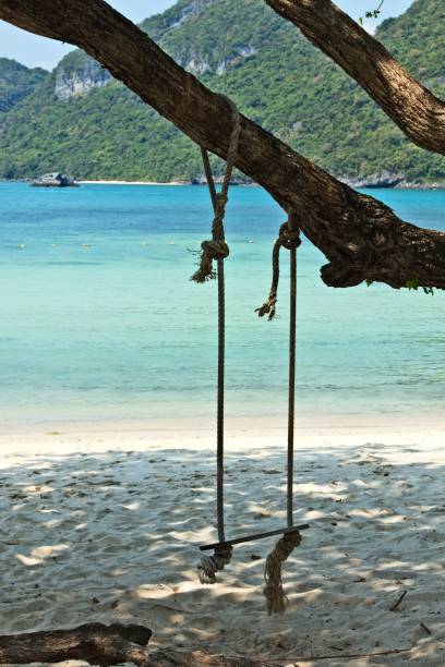 istock Swing hanging from a tree on the beach on an island during daytime 1438578935