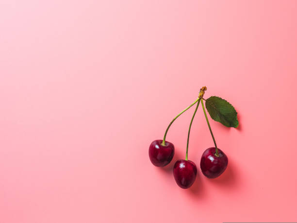 Cherry on pink background, copy space stock photo
