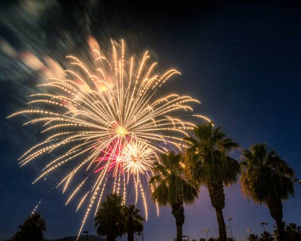 istock Scenic bright fireworks over the palm trees in the evening 1438581315
