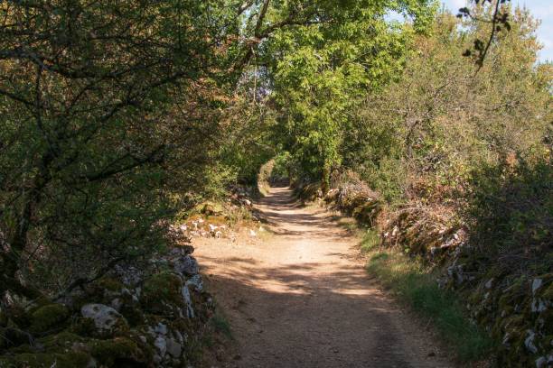 istock Path in the middle of a field with stonewalls 1438581408