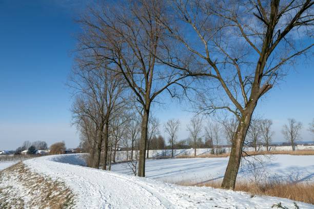 istock Mesmerizing winter landscape covered in fluffy snow in the Netherlands 1438581619