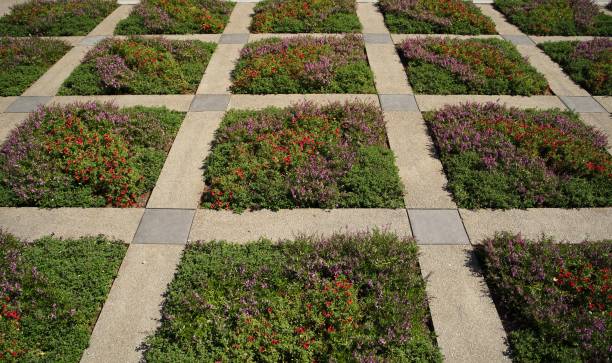 istock High angle shot of flowers growing in a field with square-shaped sections 1438581872