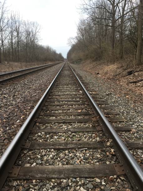 istock Vertical shot of the railways going through the beautiful trees 1438581877