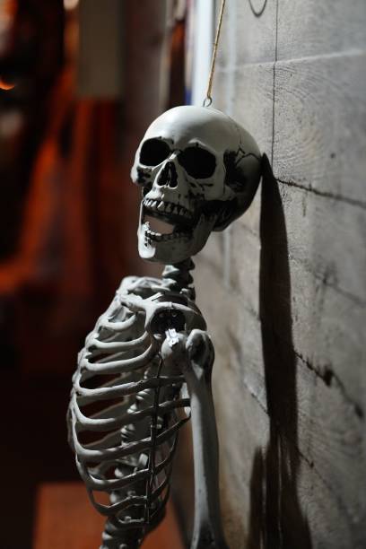 istock Skeleton skull with open jaw against a wall 1438582377